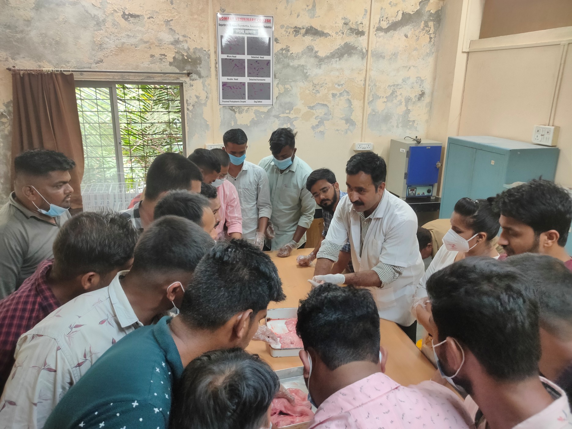 Practical Demonstation   Artificial Insemination In Farm Animal By Dr. R J Chaudhari And Dr S M Gaikwad